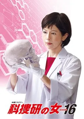 科搜研之女第十六季