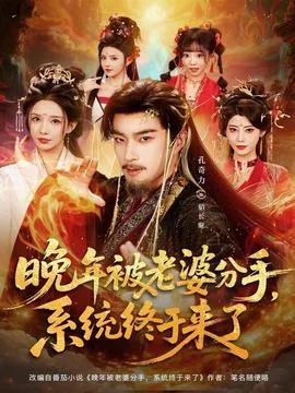 晚年被老婆分手,系统终于来了